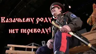 Казачьему роду - нет переводу!