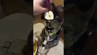 Шнековая соковыжималка Wollmer J310 Extra Fresh