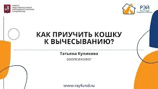 Как приучить кошку к вычёсыванию?