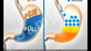 slimpossible25 09 sample