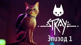 Трущобы 😺Stray😺 Эпизод 1
