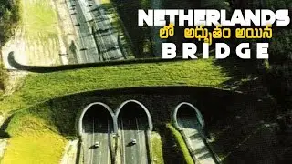 Netherlands లో  అధ్భుతం అయిన bridge || Top 10  Amazing facts