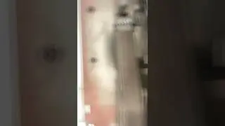 Cycling my phone through a Hobart NGW-2P meat wrapper