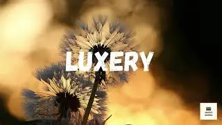 Luxery(Causmic)- No Copyright Music Free [Hip Hop & Rap | Calm] | Musicz Musika