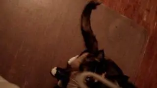 Sam likes camera straps