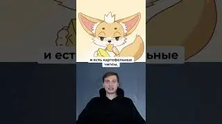 Факты о Чипе 