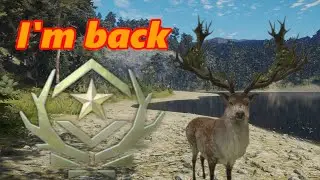 TheHunter: COTW PS5 Diamond and rare highlights #44