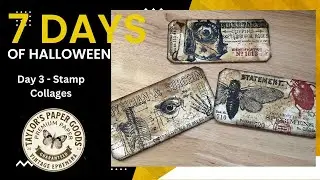 7 Days of Halloween - Day 3 Anatomy Flash Cards