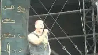 Almost Easy - Avenged Sevenfold - graspop 2008