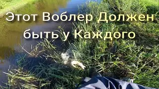 Я в Шоке,на этого малыша клюют Килограмовые рыбы Спининг на Вятке