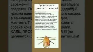 Проверенное средство от клещей #клещи #клещ #средство #проверенныерецепты  #полезнознать