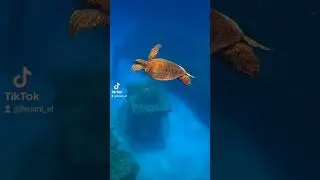 #universe