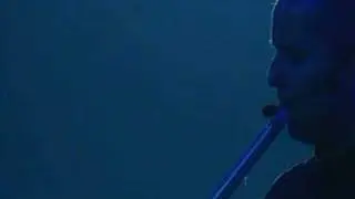 Peter Gabriel - Mercy Street (Live)