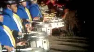 ROSE PARADE 2014:  NAGOYA MINAMI (名古屋市南) JAPAN GREEN BAND