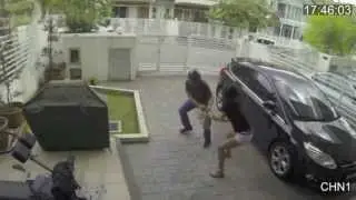 (Origonal-) Girl fights off Purse thief -Az Tiger MMA