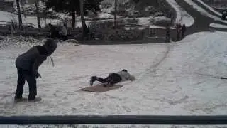 Cardboard sled faceplant in snow at Falls Park