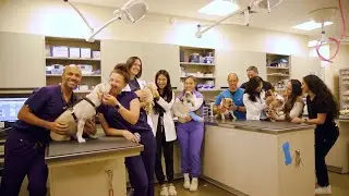 Oahu’s only full-service animal hospital