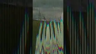 Мясное животноводство в Казахстане