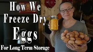 How We Freeze Dry Eggs For Long Term Storage