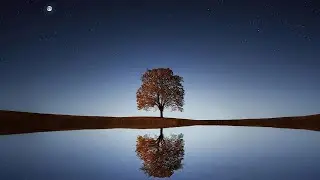 [FREE]  🧖‍♀️🧖‍♂️ Emotional Chill Electronic Vlog by Alex-Productions (No Copyright Music) 🧖‍♀️🧖‍♂️