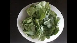 Potager 2019 : panier de récolte du 06 mars
