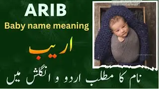 Arib name meaning in urdu & English || Arib naam ka Matlab || اریب نام رکھنا کیسا ہے || Islamic name