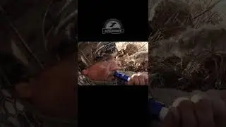 Охота на уток, налетают на звук манка ... 