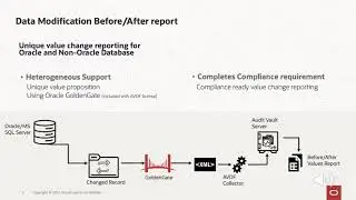 Oracle Audit Vault and Database Firewall (AVDF) Before/After Value Reports