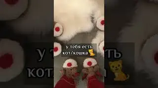 Пой эту песню если ты...💍