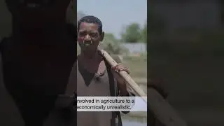 The Devastating Impact of Drought on East Africa's Lifeline River