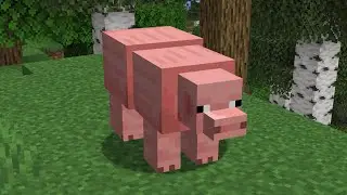 fat pig