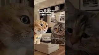 Ну, что дорогая, ты была у маммолога? Что он говорит? #тренд #приколы #коты #мемыскотами#веселыекоты