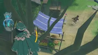 Windtrace With Friends Be Like (Genshin Impact)