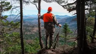Deer Season 2022 In Review
