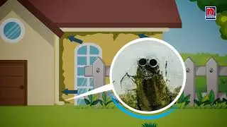 Nippon Paint - How to Remove Fungus on Exterior Wall Problems & Solutions
