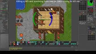 Tibia Juva Hard work for PKers