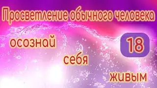 Просветление. Осознай себя 