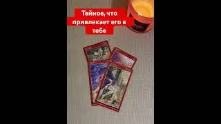 Что его влечет в тебе? 