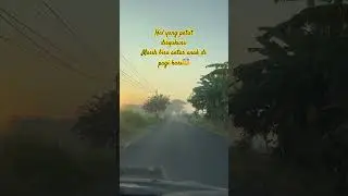 Bersyukur tiada henti