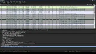 Zscaler ZCC   Wireshark Time Setting #shapeskills