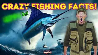 5 FISHING FACTS YOU LIKELY DIDN'T KNOW!