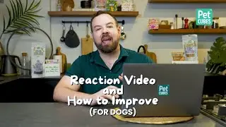 PhD Nutritionist Reacts to Home-Cooked Dog Food (2)