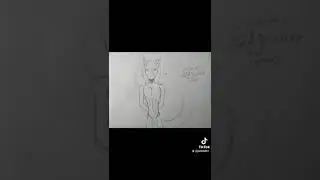 Neko Incubus Yaoi ASMR Roleplay [M4M]