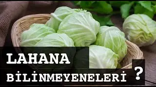 LAHANA / BİLİNMEYENLERİ            #lahana #lahanabilinmeyenleri #bilinmeyenler