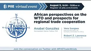 African perspectives on the WTO and prospects for regional trade cooperation