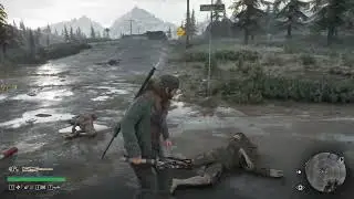 Days Gone 