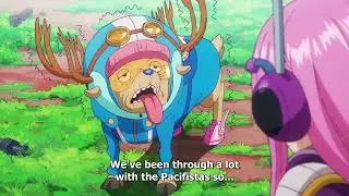 Bonney Uses Devil Fruit Luffy is Old