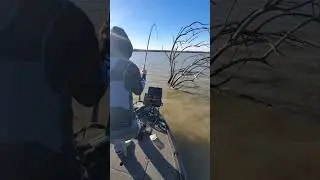 DON'T TRIP!!! BOAT FLIP!!!