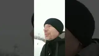 Петр Мамонов стих
