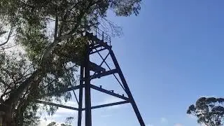 Wonthaggi State Coal Mine Whistle